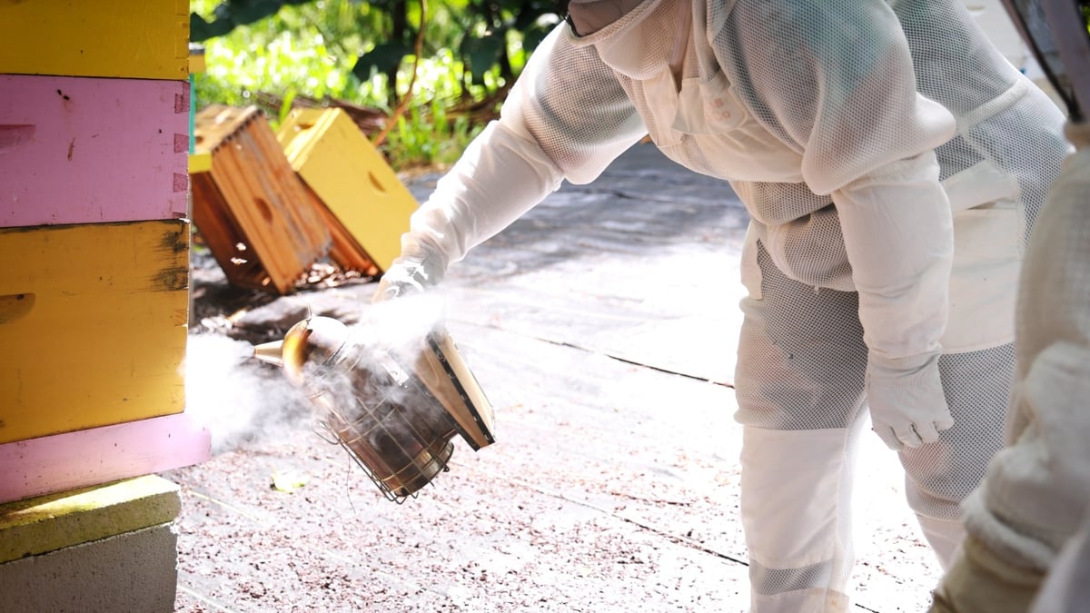 Hanai Hives apiary